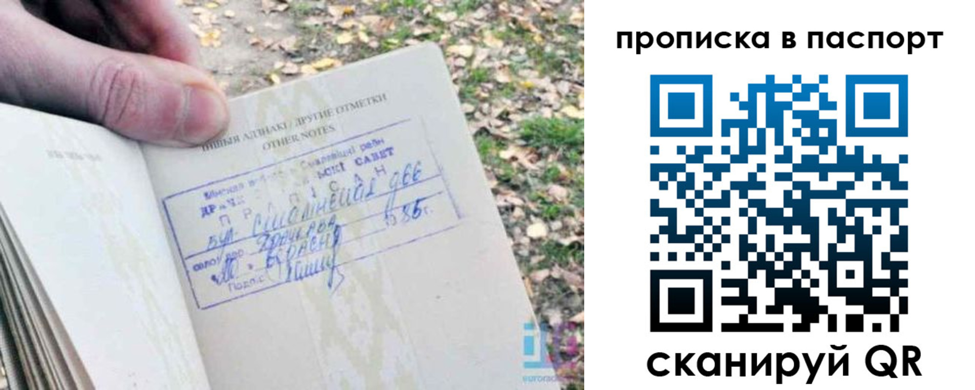 временная регистрация собственник в Камешково